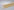 Furnierleiste (Furnier) Kiefer, 22 x 40 x 2400 mm, profiliert