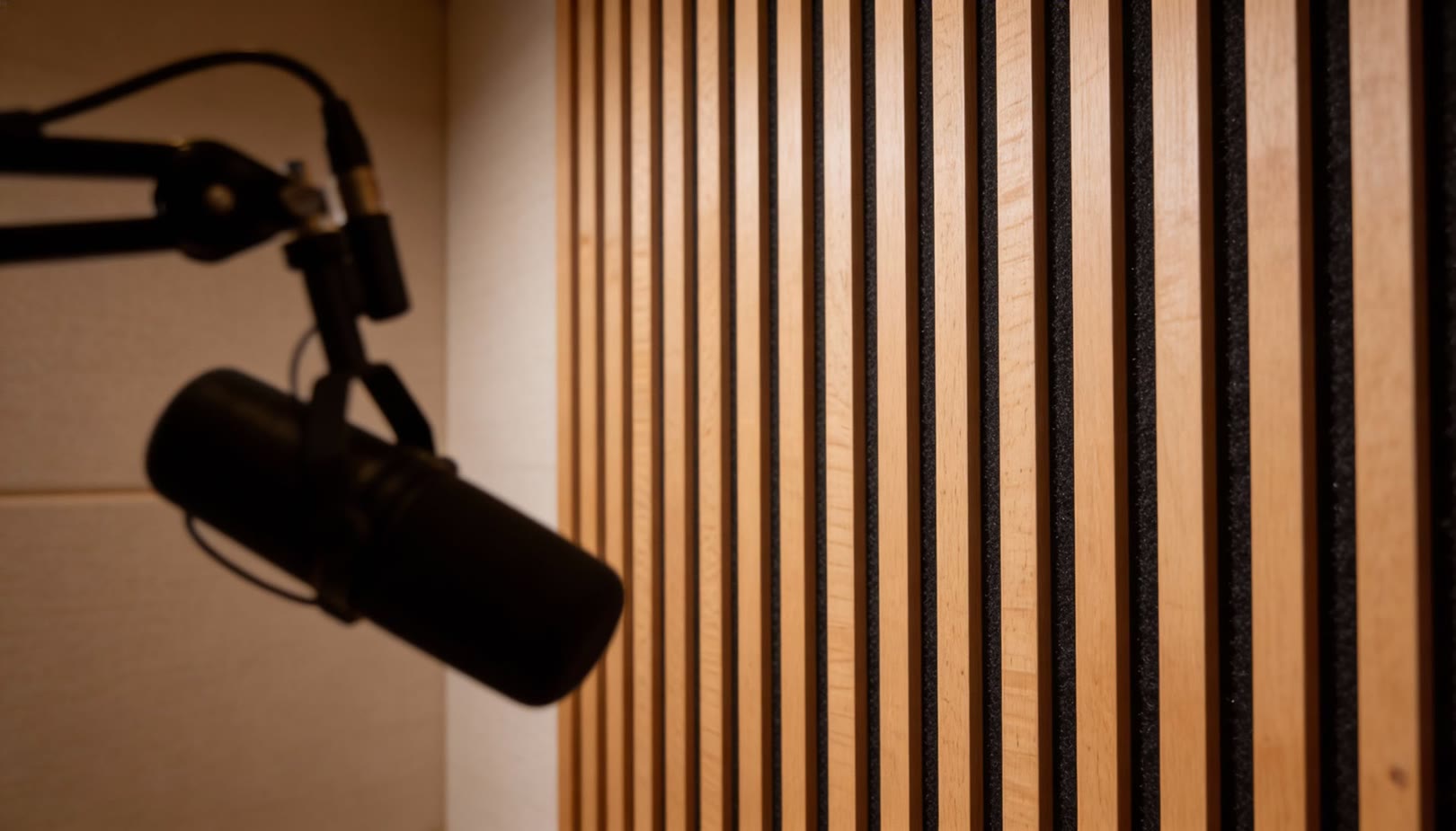 Professionelles Podcast-Mikrofon im Vordergrund, dahinter eine scharfe Wandverkleidung aus hellen Eichenholz-Akustikpaneelen.